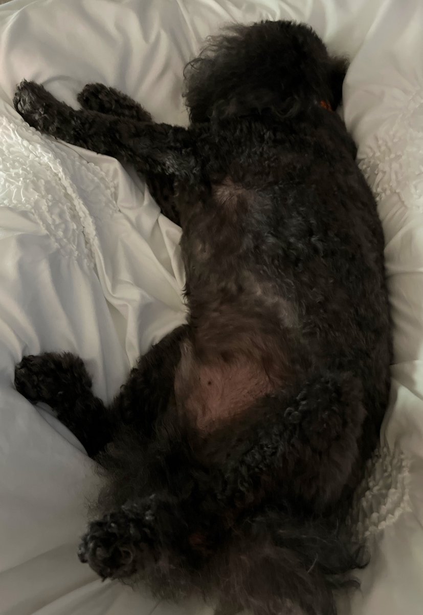 Today’s stream we’re going a little short because I’m doing small edits on some projects. Clean up day! Starting at 5pm pacific!