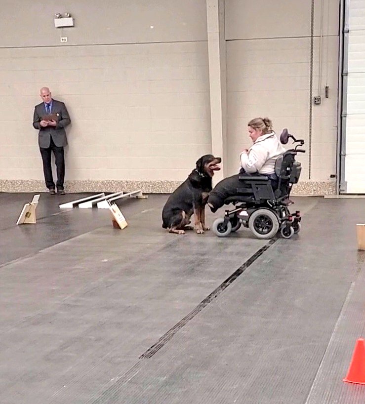 Team Servicerottie🇨🇦🐕‍🦺🦽 tweet media