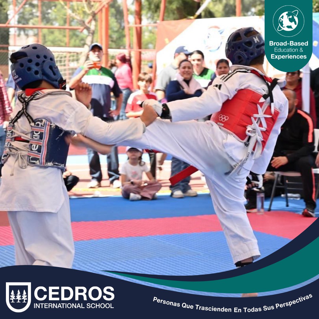 Cedros International School tweet media