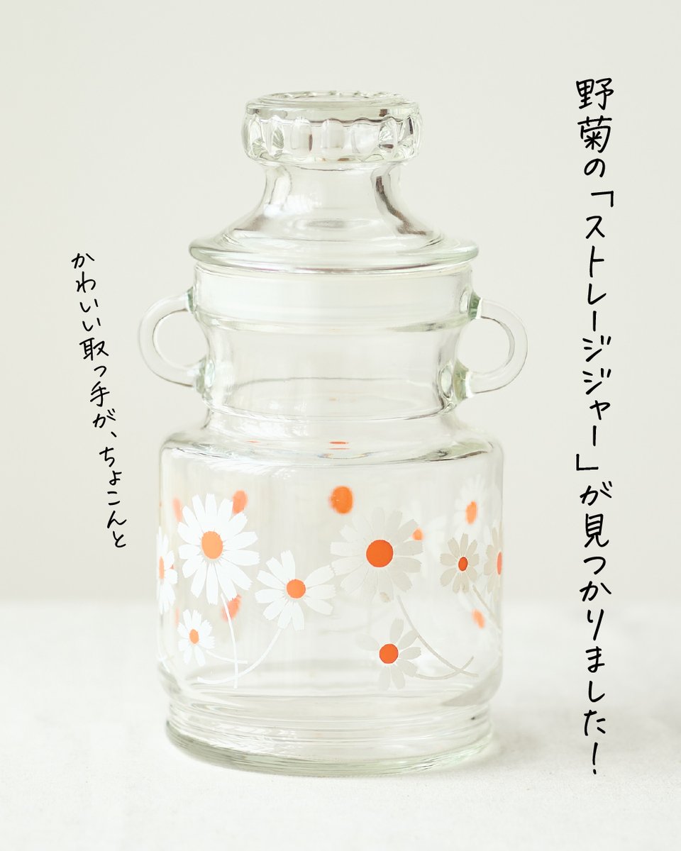 野菊の「ストレージジャー」が見つかりました！ ストレージジャーが