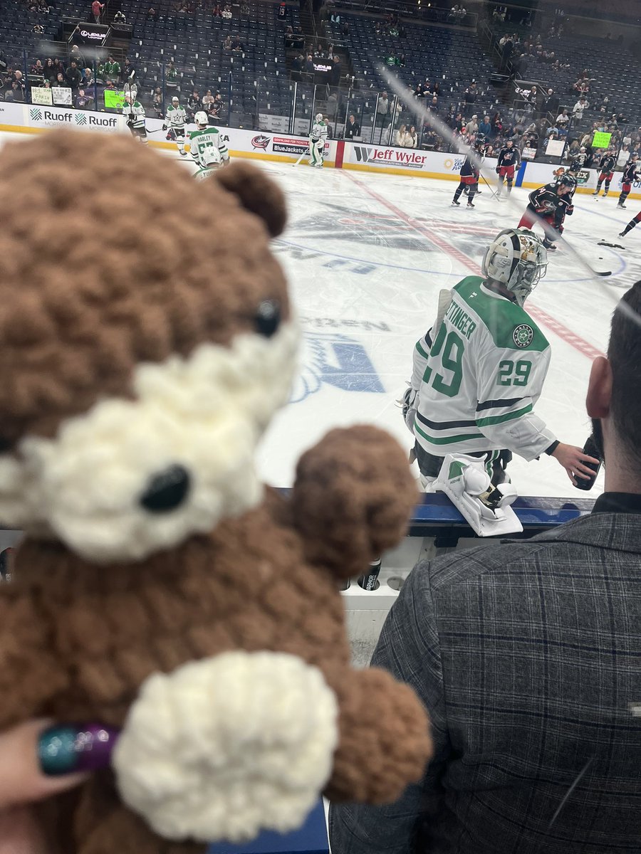 otter &amp; otter 💚