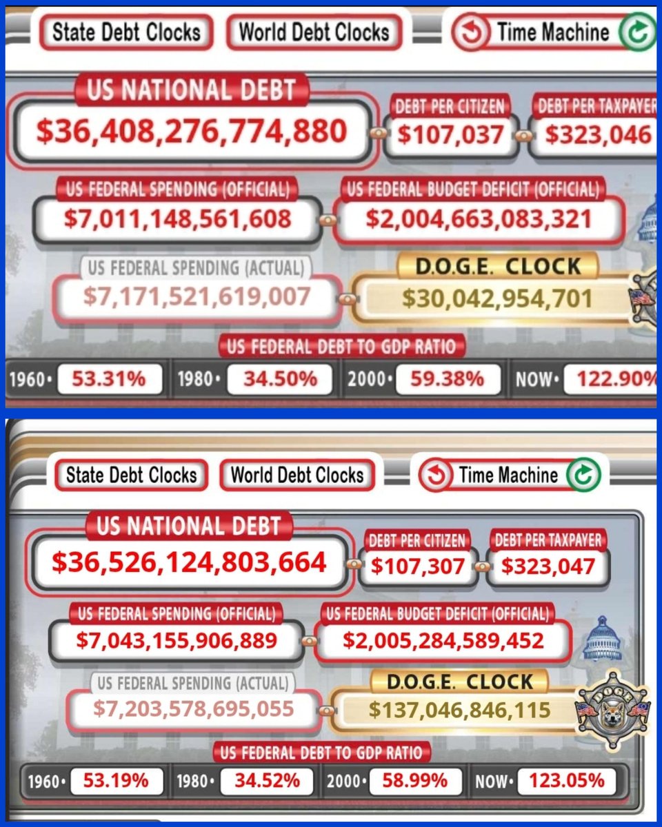 VivaLaCoin tweet media