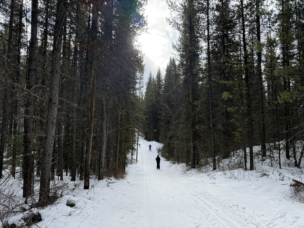 Court Rustemeyer (@rusty1122) on Twitter photo Felt like a Spring Ski today but great to get outside! The grade 9s had a blast today in KCountry❄️⛷️🏔️
<a href="/takemeoutside/">Take Me Outside</a> <a href="/yyCBEdu/">Calgary Board of Education</a> <a href="/albertateachers/">Alberta Teachers' Association</a> <a href="/Albertaparks/">Alberta Parks</a> Felt like a Spring Ski today but great to get outside! The grade 9s had a blast today in KCountry❄️⛷️🏔️
<a href="/takemeoutside/">Take Me Outside</a> <a href="/yyCBEdu/">Calgary Board of Education</a> <a href="/albertateachers/">Alberta Teachers' Association</a> <a href="/Albertaparks/">Alberta Parks</a>