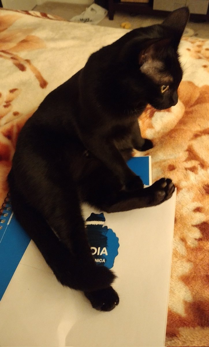 🪶VwTiny art tweet media