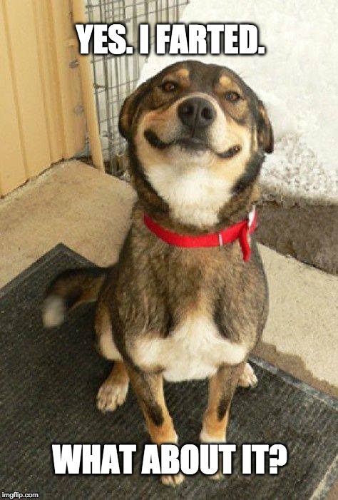 DogFartPU's tweet photo. https://t.co/Y88rYT31Nw