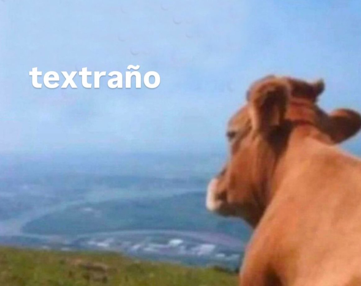 conoloracigarro's tweet photo. https://t.co/kIJdgkNLnt