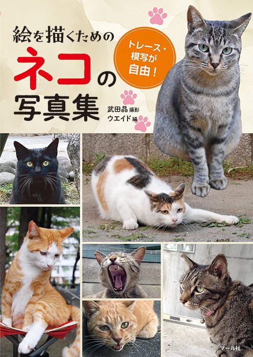 マール社さんの新刊『絵を描くためのネコの写真集』が入荷しました