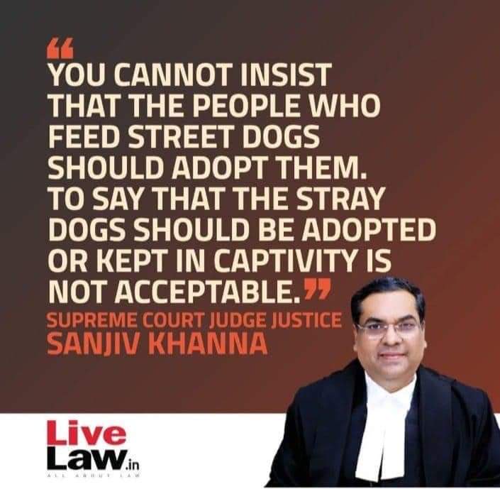 prernaasinghadv's tweet image. #communitydogs #feeder