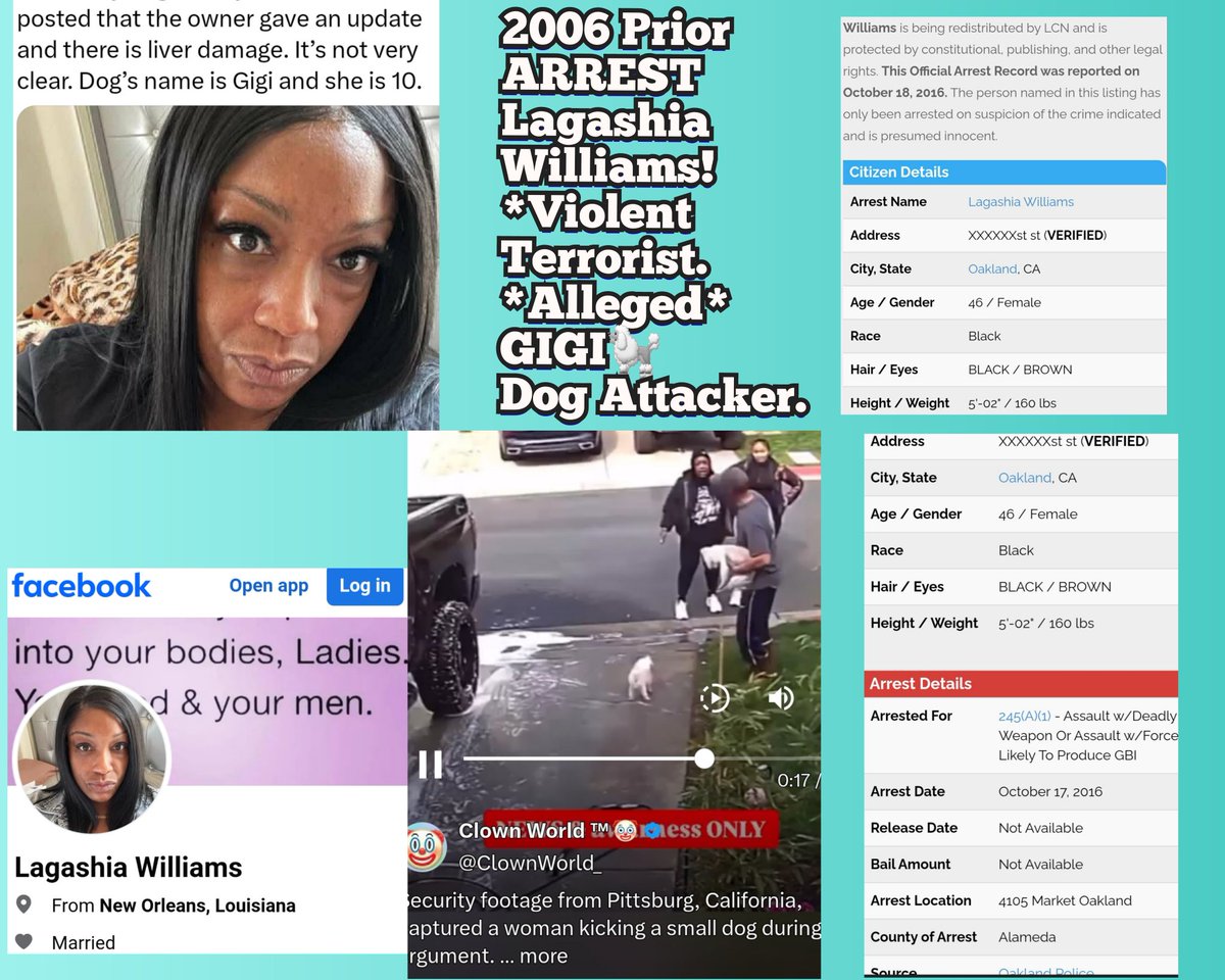 BilzBangnBimbos's tweet photo. The 2 BFA goonrilla's need to be SUED TO HELL! PRESS CHARGES! #PrayForGigi #Dog #Gigi victim #GoFundMe at Vet. Attacked allegedly by #LagashiaWilliams #MayaKellly . I bliev I found prior arrests🚨👇! @megynkelly @clownworld @greggutfeld @JesseBWatters @Timcast @Firstladyoflove https://t.co/gCdqHQSKo6