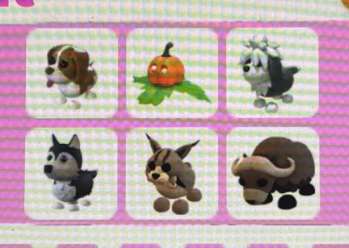 ♡︎𝐸𝑀𝑀𝐴 tweet media