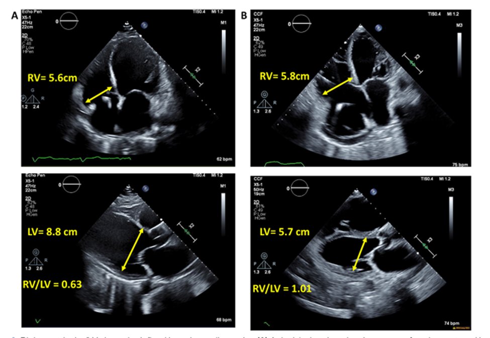 Jerry Estep tweet media