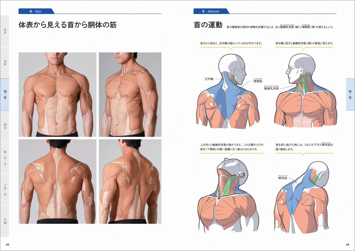 kato_anatomy's tweet image. 『美術解剖学の基本マニュアル』あした発売です。160pとコンパクトですが、イラストと写真合わせて700カットくらいあった気がします。韓国語版と中国語版もでるそうです。amazon.co.jp/dp/4768320244