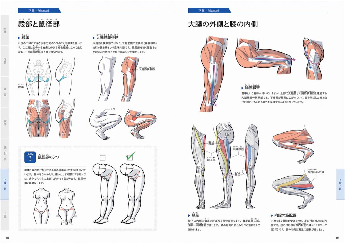 kato_anatomy's tweet image. 『美術解剖学の基本マニュアル』あした発売です。160pとコンパクトですが、イラストと写真合わせて700カットくらいあった気がします。韓国語版と中国語版もでるそうです。amazon.co.jp/dp/4768320244