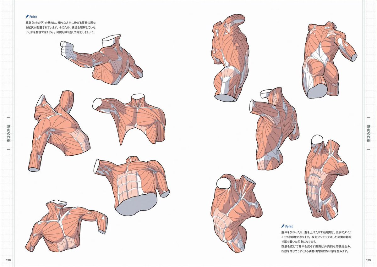 kato_anatomy's tweet image. 『美術解剖学の基本マニュアル』あした発売です。160pとコンパクトですが、イラストと写真合わせて700カットくらいあった気がします。韓国語版と中国語版もでるそうです。amazon.co.jp/dp/4768320244
