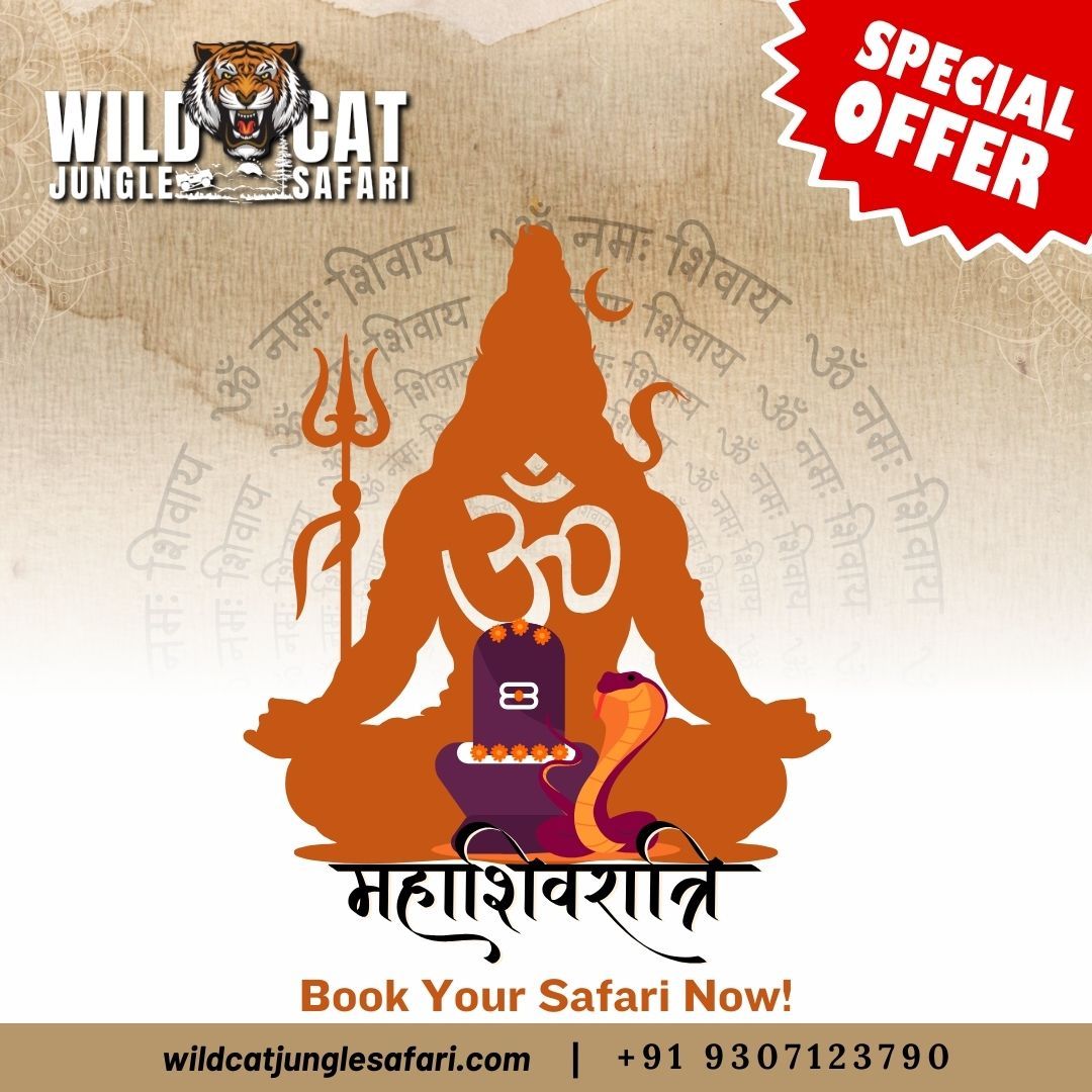 wildcatsafari's tweet photo. 🌟 Wildcat Jungle Safari Wishes You a Blessed Mahashivratri! 🌟
May the divine blessings of Lord Shiva fill your life with peace, happiness, and adventure! 🕉
🌿 Special Mahashivratri Offer! 🌿
 #WildlifeSafari #ShivaBlessings #TravelDeals #ExploreTheWild #DiscountOffer #BookNow https://t.co/lkBJUzv31p