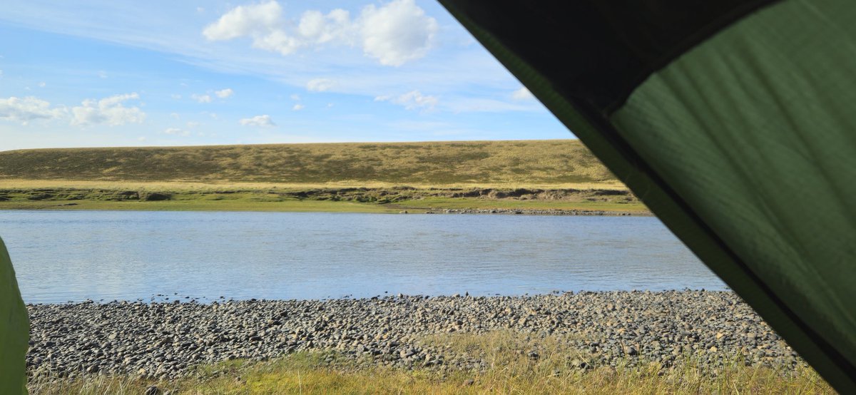 Pablo Motto tweet media