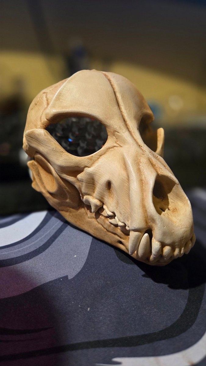 💀Dying 2️⃣ Sew💀 tweet media