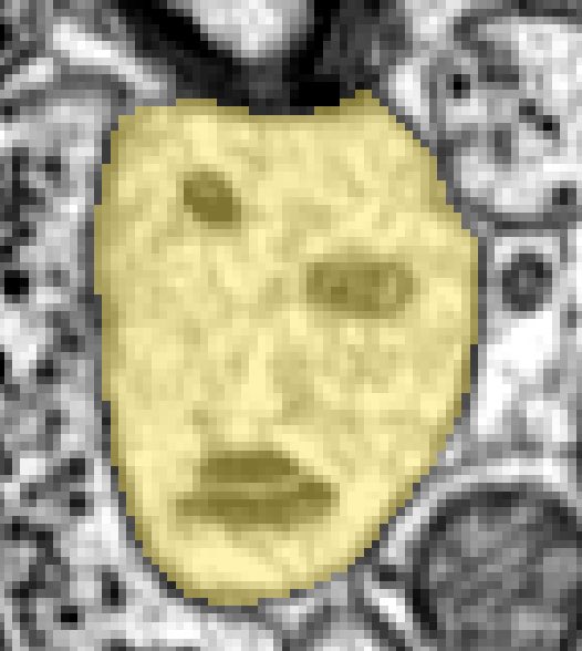 a little Picasso hidden in the dataset
 #em found by citizen scientist Krzysztof Kruk pyr.ai