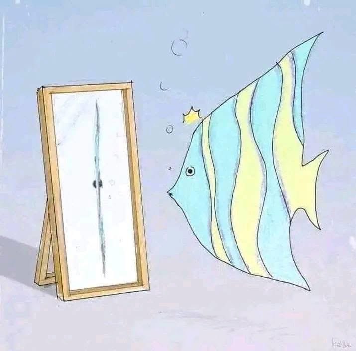 Anchorgirl_04's tweet photo. Sometimes you don’t recognize how beautiful you are until you see yourself through the eyes of someone who truly values and loves you.
Ctto https://t.co/HXTFsPHs4g