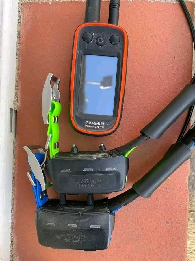 GarminAlphaFr's tweet image. flash info
Alpha 100 avec 2 colliers tt15 occasion reconditionner entièrement en parfait état de fonctionnement garantie 2 ans livré avec tous les accessoires carte topo v6 français pour la centrale .
Possibilité de vendre séparément.
Prix : 650€ le tout livré