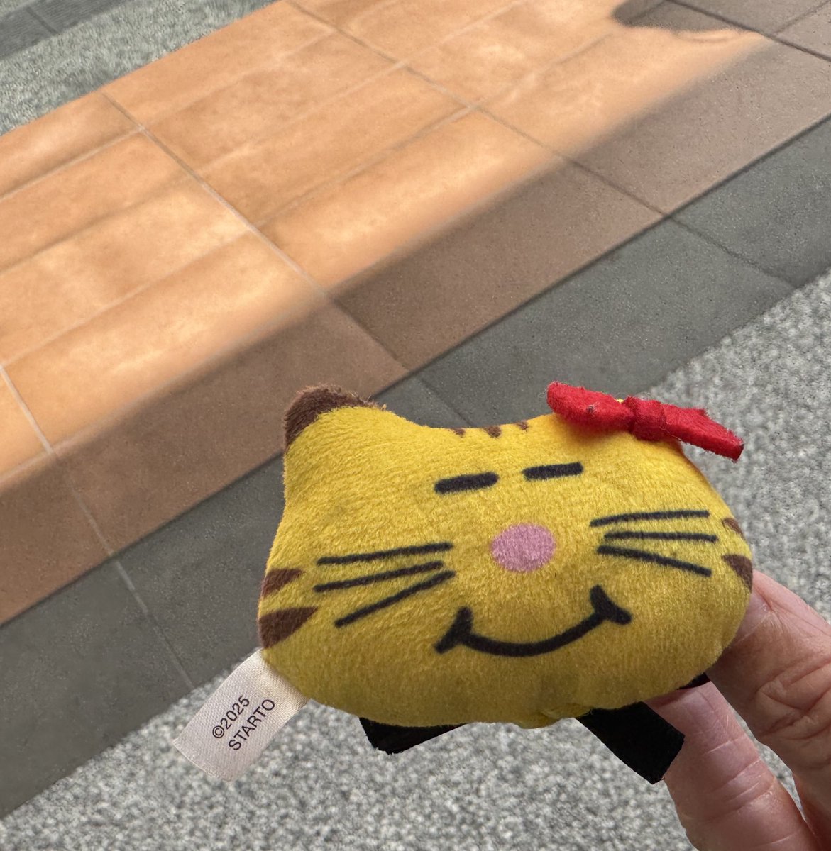 putaronanashi's tweet photo. 有明ガーデンとタリーズの間で

迷い子のネコますちゃん🐱

お家に帰れますように

#増田貴久_喜怒哀楽 
#東京ガーデンシアター 
#有明ガーデン https://t.co/k0f0LW6uSI