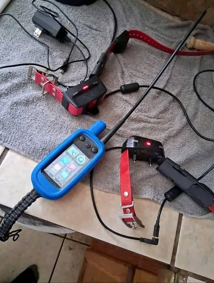 GarminAlphaFr's tweet image. 