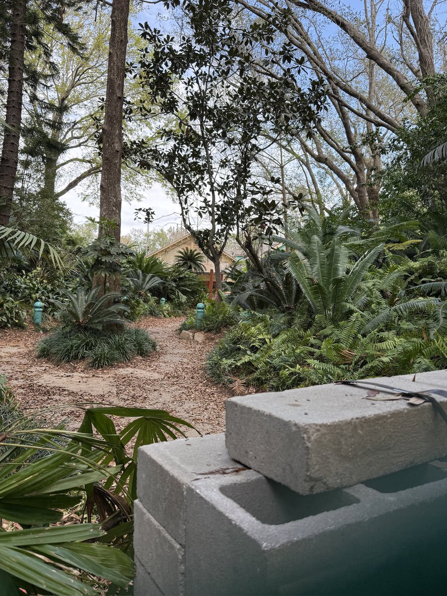 MrsMariPrincess's tweet photo. @Dr_GrantSeeker @Blog_Mickey This was the walkway between the Dinosaur ride and the Dinoland store https://t.co/2CwxRIV77N