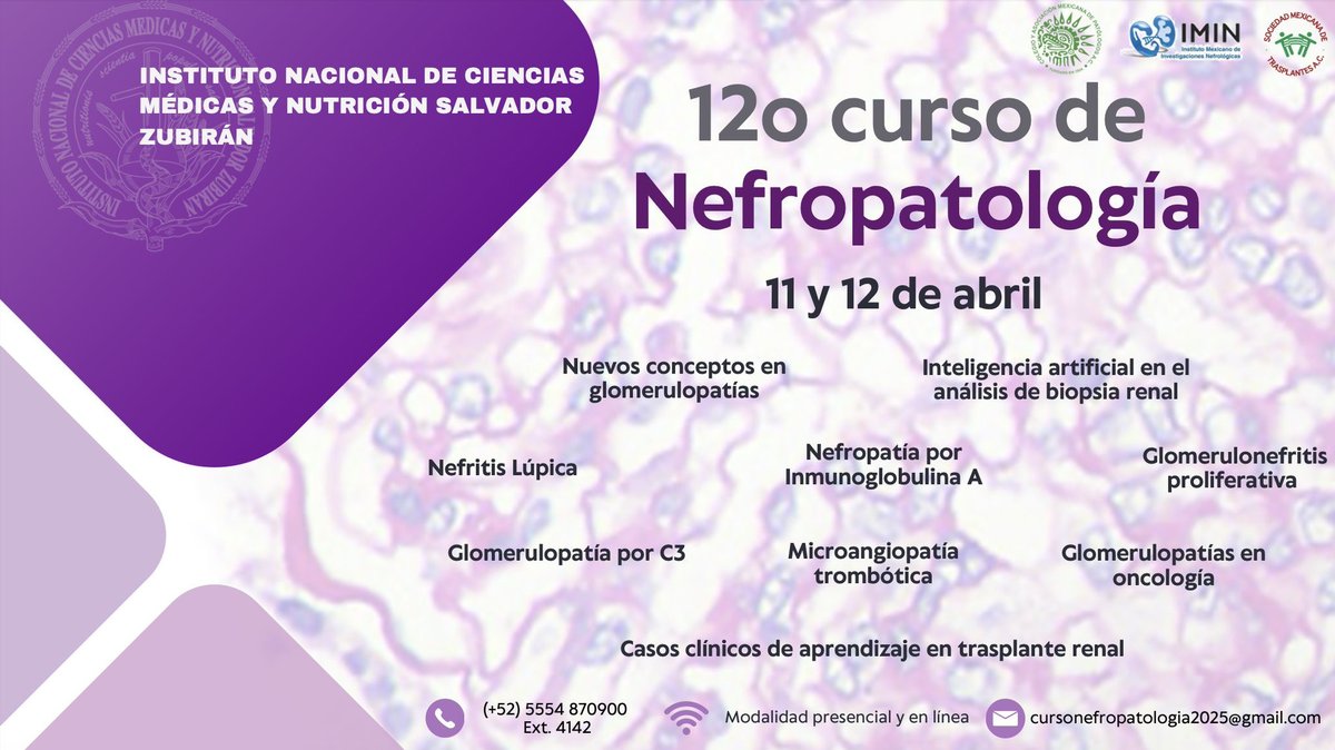 MaFer Zavala (@mafer_zavalam) on Twitter photo 📢 ¡Prepárense para el 12vo curso anual de actualización de nefropatología y enfermedades glomerulares <a href="/NefroINCMNSZ/">Departamento de Nefrología y Metabolismo Mineral</a> !
¡#SaveTheDate este 11 y 12 de abril!
No se lo pueden perder
✅ Grandes ponentes internacionales y nacionales
✅ Temas relevantes de enfermedades glomerulares
✅ 📢 ¡Prepárense para el 12vo curso anual de actualización de nefropatología y enfermedades glomerulares <a href="/NefroINCMNSZ/">Departamento de Nefrología y Metabolismo Mineral</a> !
¡#SaveTheDate este 11 y 12 de abril!
No se lo pueden perder
✅ Grandes ponentes internacionales y nacionales
✅ Temas relevantes de enfermedades glomerulares
✅