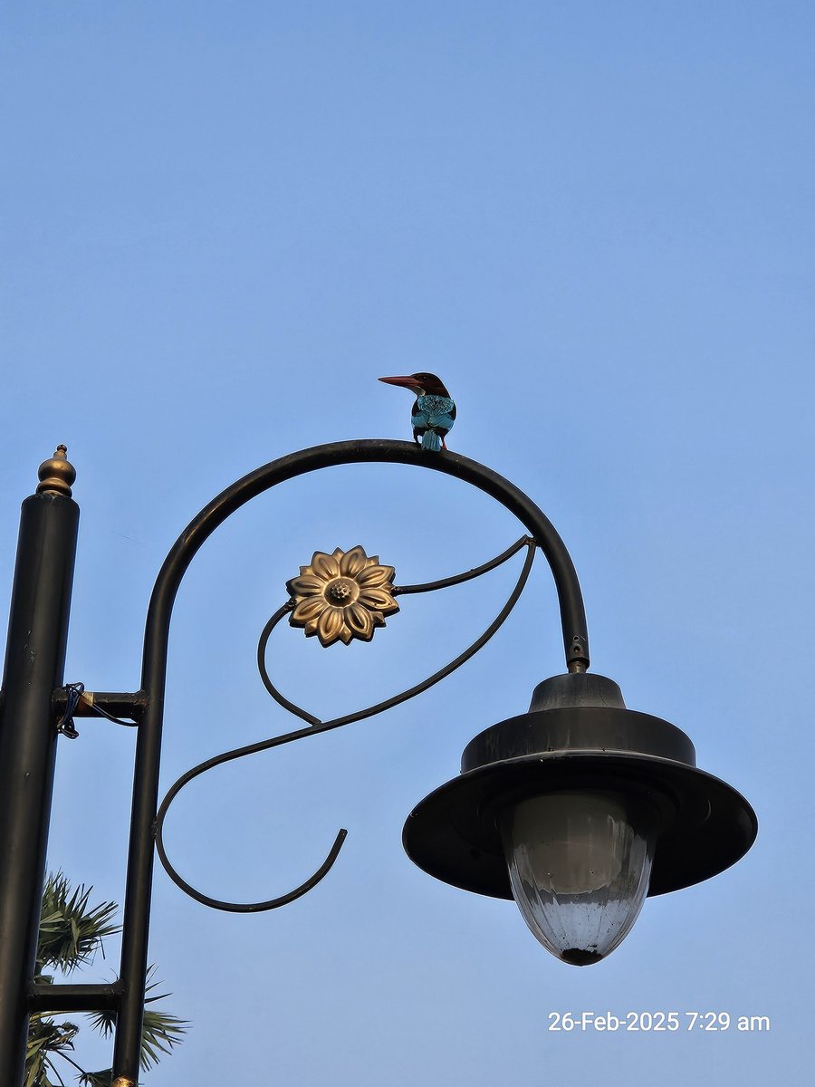 TagOptimus's tweet image. Core stretch session+ Wednesday 5k Jog
#runlocal #5kjog 
@chennaicyclists @runkarthikrun @IamShajanSamuel @singhcredible @TheRunningTimes @runkarthikrun @ssrivatsan @Siva_Bharani @I_Madcap @fitindiandad @prasantnnaidu @saransh_sidhu @pedalandtring
 strava.app.link/l7lPCPM4hRb