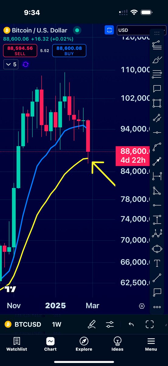 BIG Chonis tweet media