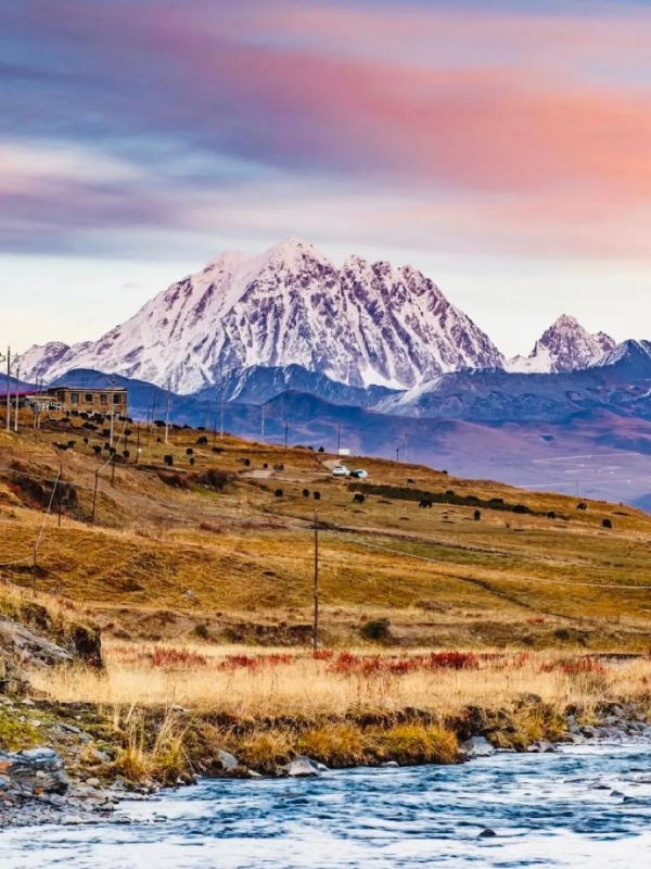 GanziChina's tweet photo. Spring’s here, and the ice in Gunong Village is melting into pure magic! Golden meadows popping up from the snow, soaking up the sun, with Yala Mountain standing tall in the distance watching over.
#Spring #Ganzi #GunongVillage #YalaMountain #SichuanTravelinSpring #travel https://t.co/014EJkpaOQ