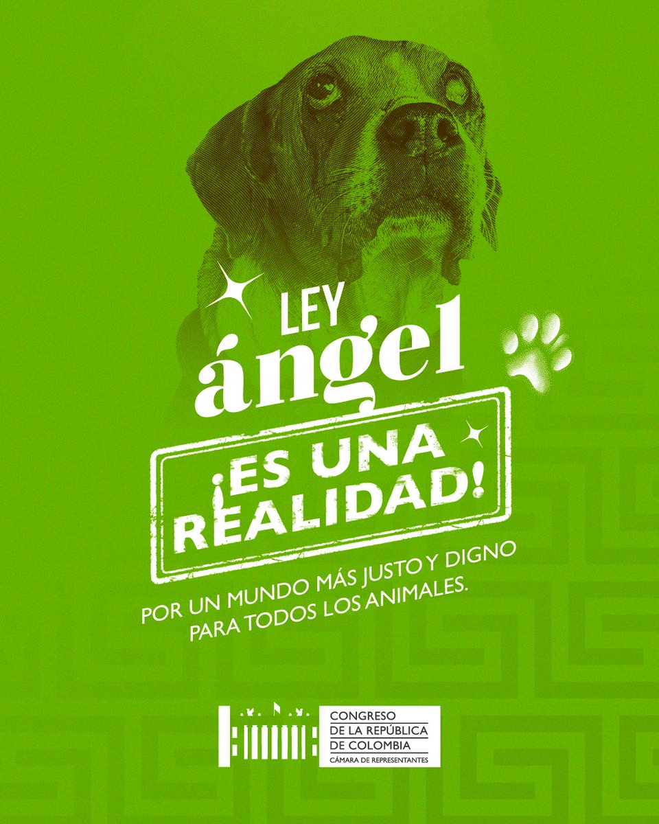 RUNM_OFICIAL's tweet photo. https://t.co/Oro2YvMARE