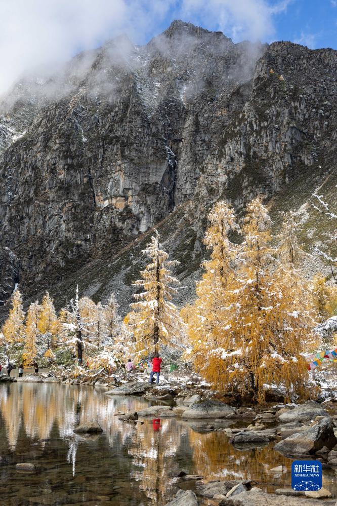 Satoshikappa's tweet photo. Snowy mountains, blue skies, and colorful forests create a stunning scene. With dense vegetation, lakes, and majestic peaks, this hidden gem in western Sichuan shines in late autumn. This is Sichuan, #China.🇨🇳  #scenery https://t.co/LOHRDUmG7y