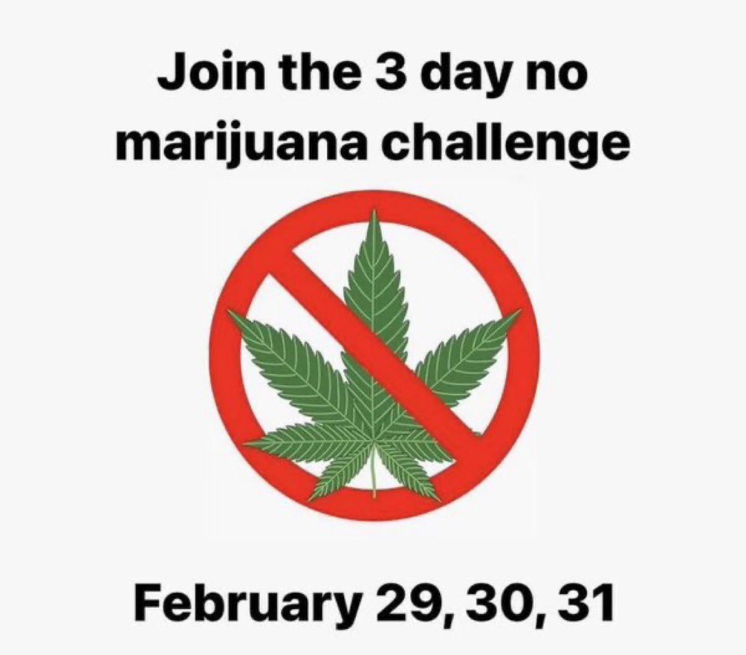 stonersvilla's tweet photo. Who’s down ? 💀 https://t.co/aJ4IWMsEM4
