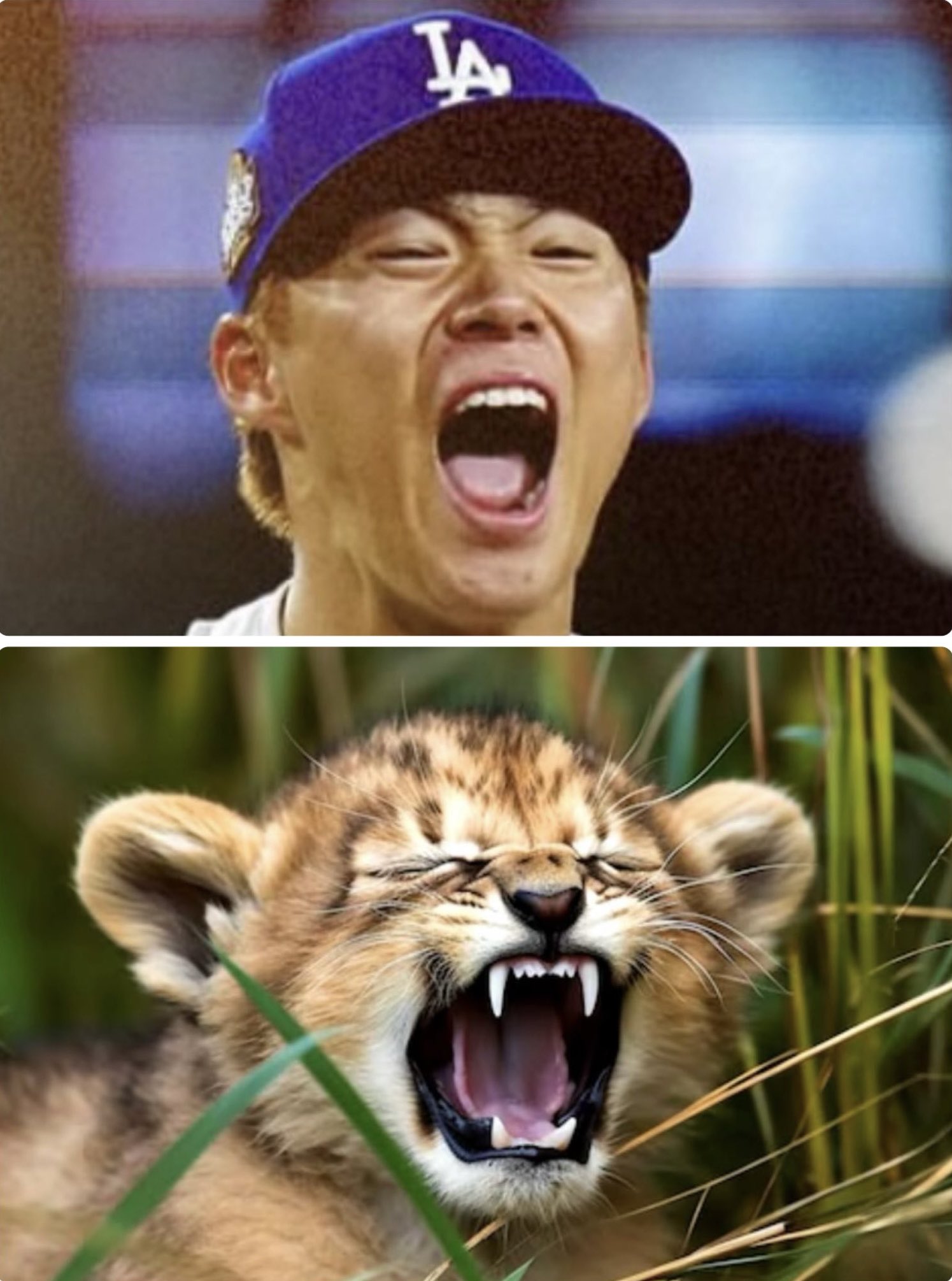 HiT / MLB日本人選手速報 on X: 