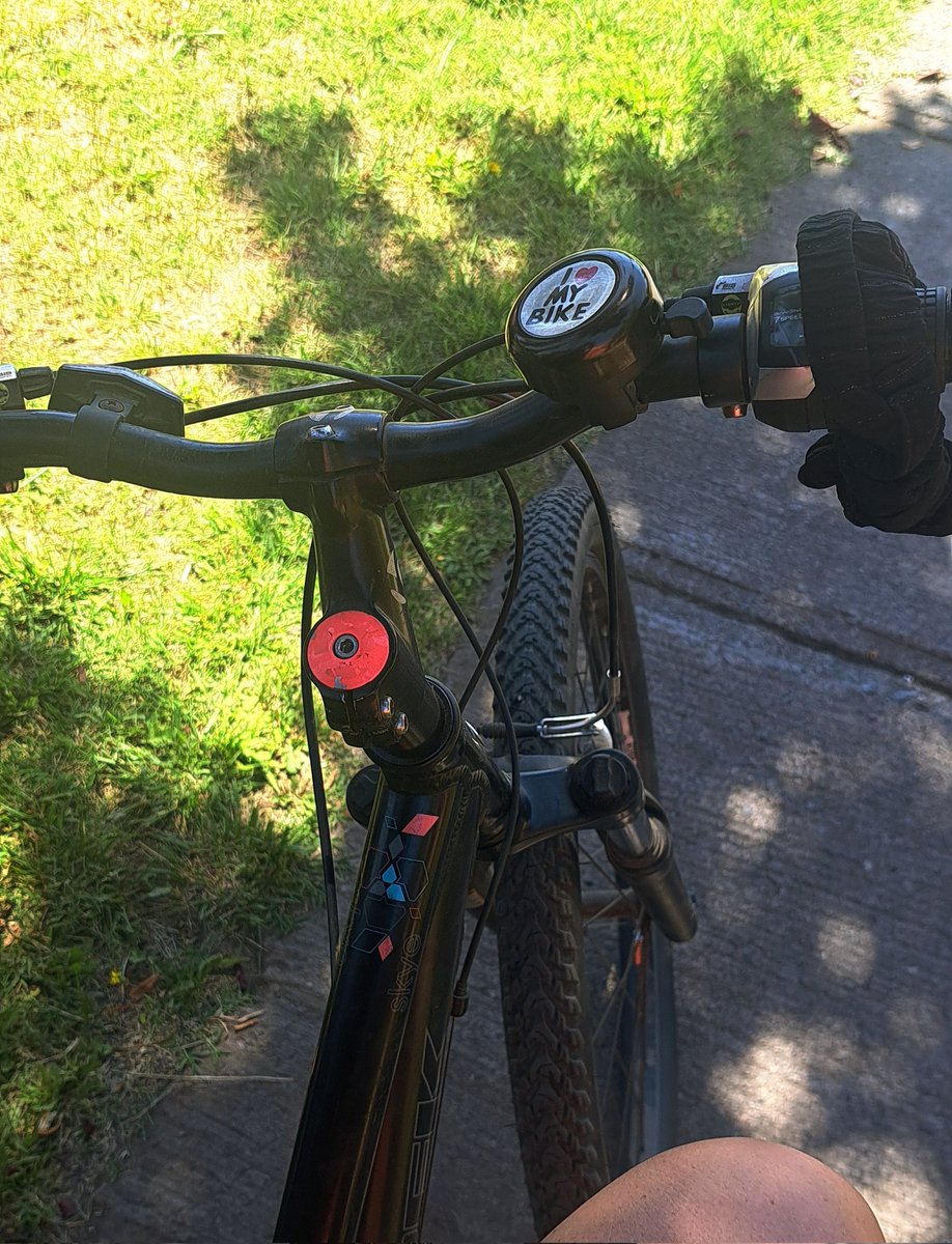 QueloqueHesho's tweet image. Lo bueno del corte de luz, es que se salió a pasear, ya que el calor era infernal dentro de casa🤯🥵
#Nave
#Brisa