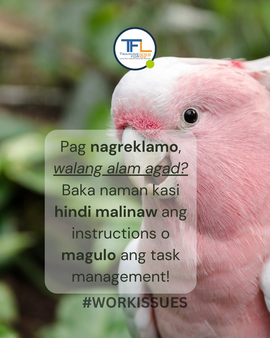 tfl_ph's tweet image. Before you judge, check the process. Minsan, ang problema hindi nasa tao—nasa sistema. 💡✨

Clear tasks = Less stress = Better results 💪🚀

#TrainingForLess #WorkIssues #EmployeeRights #WorkplaceManagement #LeadershipMatters #BetterWorkplace #OfficeHugot #FixTheSystem