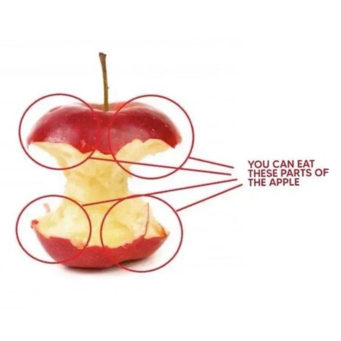 ch7ll1ll's tweet image. ☎️ (❗️)