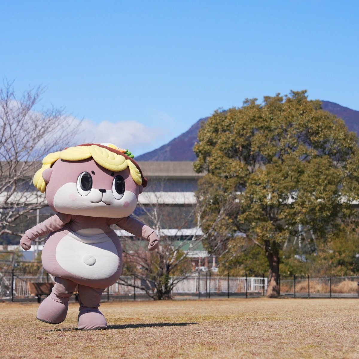 ちーちゃん (@Chiharu_panda10) / Posts / X