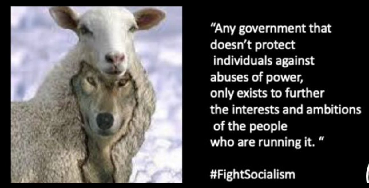 SOAR- Save Our American Republic tweet media