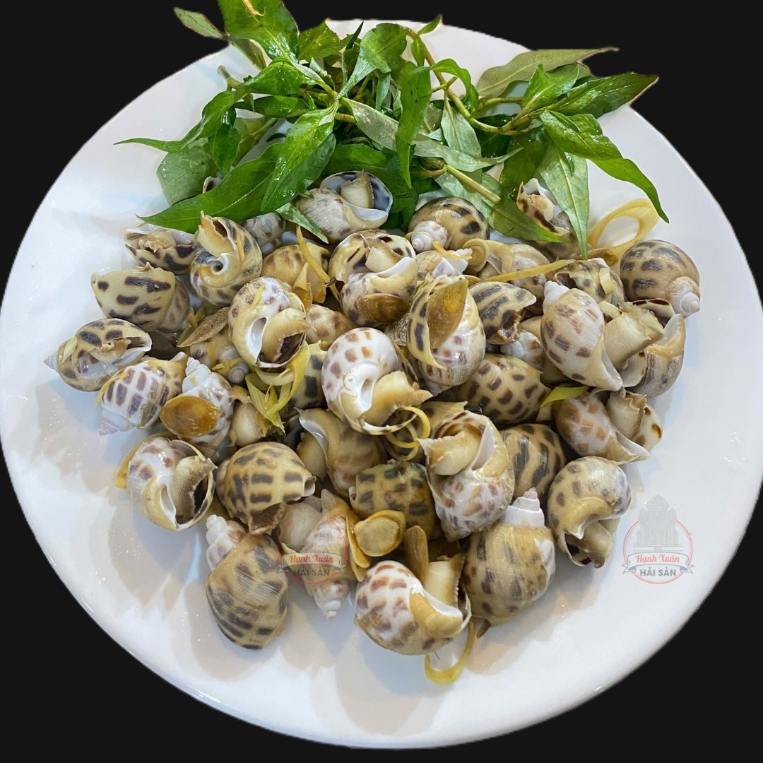 amthuckhanhhoa's tweet photo. HẢI SẢN HẠNH XUÂN – HẢI SẢN NGON, GIÁ HỢP LÝ, 
Xem menu trước khi đến: https://t.co/gFfTUvEa6M
Looking for a seafood restaurant with fresh dishes, fair prices, and a spacious, elegant atmosphere in a prime location? Hanh Xuan Seafood is the perfect choice! https://t.co/HnDmZdSicm