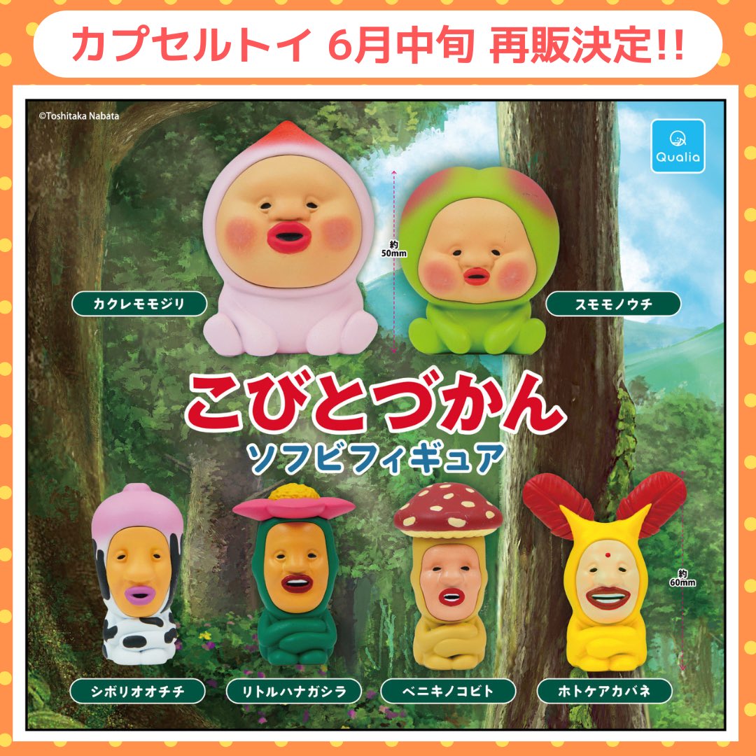 こびとずかん9体 こびとづかん公式📚🌿 on X: 
