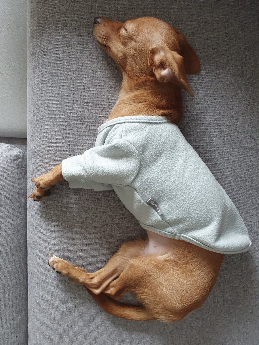 hoddok_life's tweet photo. 어릴때도 하찮았지 https://t.co/iaGopUz4it