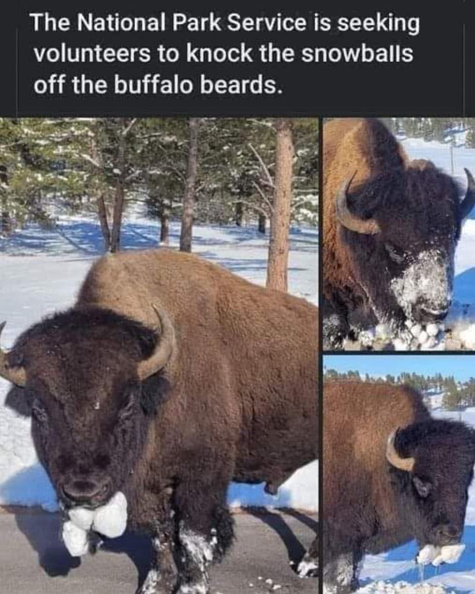 Steve Anderson tweet media