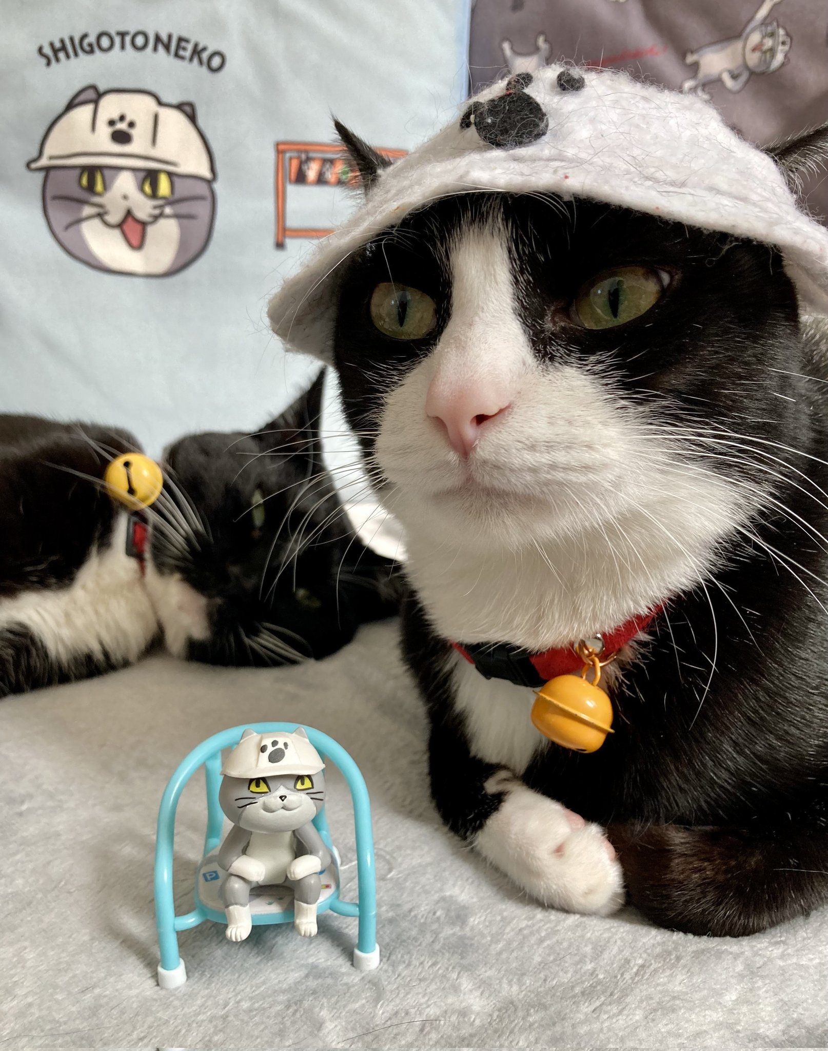 とにかくヨシ - البحث / X