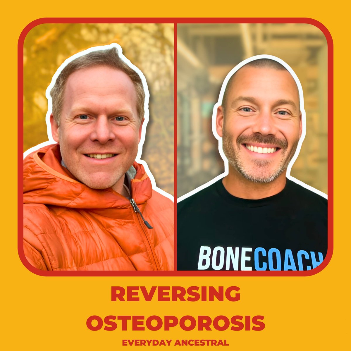 I sit down with Bone Coach Kevin to debunk bone health myths &amp; share science-backed strategies to prevent bone loss &amp; build strength. Don’t wait—protect your bones now! 🦴💪🎧 youtube.com/watch?v=h5yYcR… #BoneHealth #Osteoporosis #Podcast