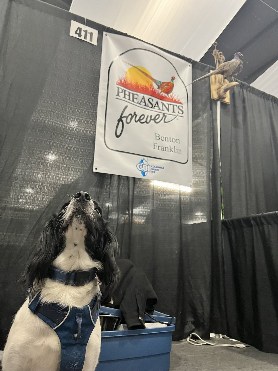 bauermill's tweet photo. Bridge had fun repping @pheasants4ever at the Tri-Cities Sportsmen’s Show! https://t.co/J7HrncHKny