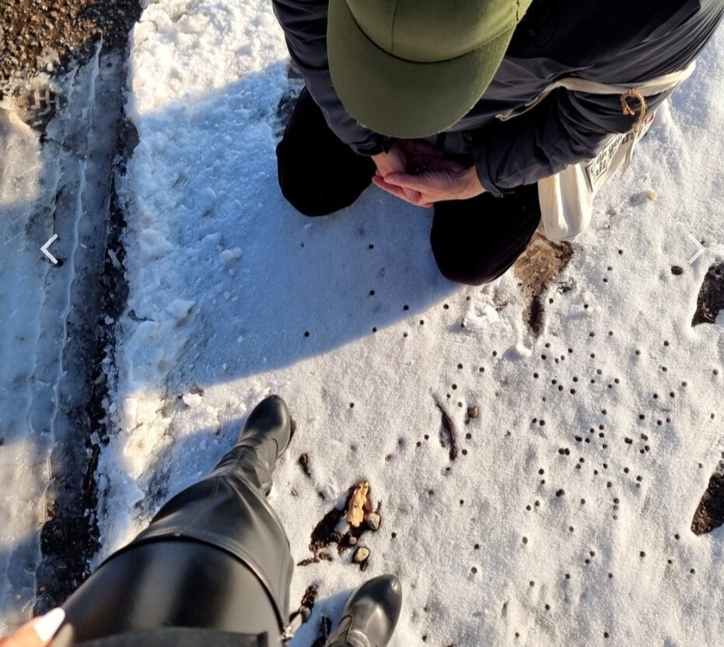 😍Ein Traum: 
Blauer Himmel, Sonne, Schnee und die wunderbare @herrinlady Sarah 🥰👸🏻💯🔥

Wer mehr sehen möchte:
➡️ onlyfans.com/herrinlady
➡️z.Z. 50% Rabatt 🥳

findom / cashmeet / femdom / herrin / sklave / cash&amp;go / leder / outdoor / stiefel/ domina