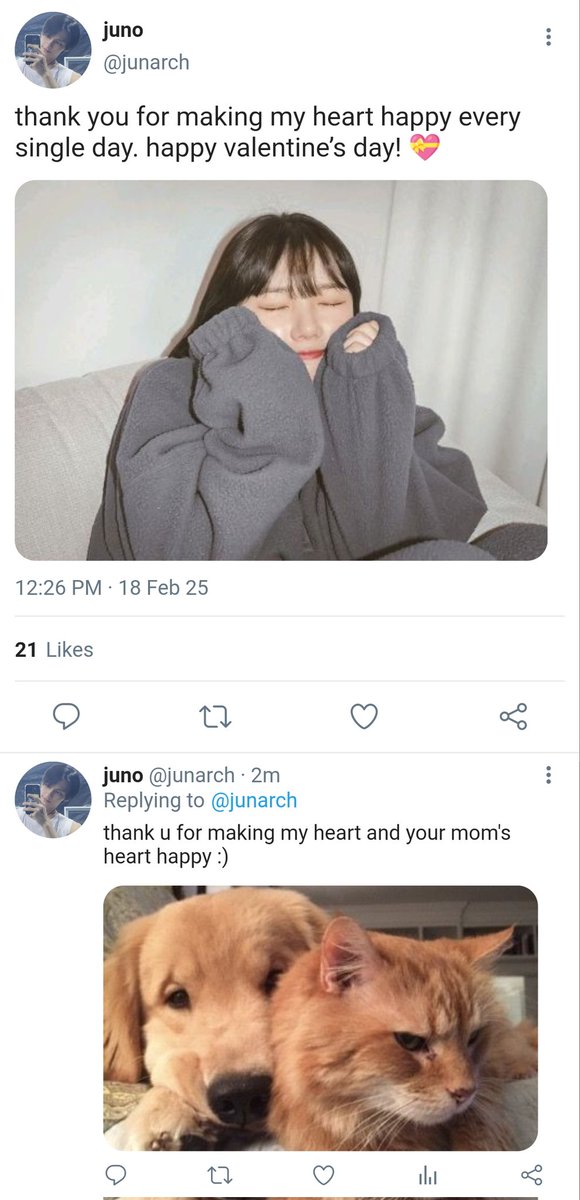 0717user's tweet photo. hate you a little (not at all)
— a junrin valentine’s day special au

sets after five years where aga and friends still celebrate valentine’s together. and oh, siakol has a sibling! https://t.co/ygPJ1Ujbyj