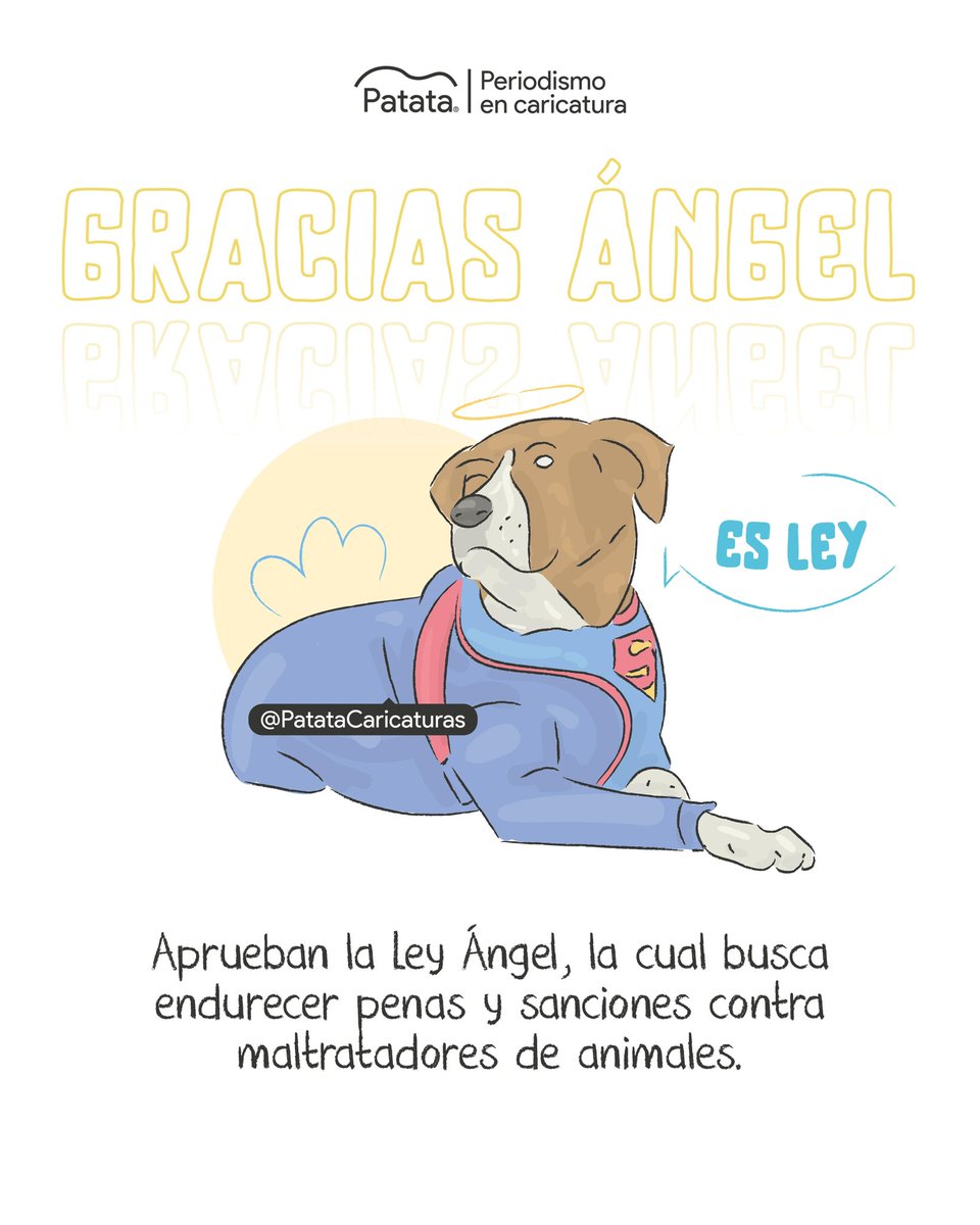PATATAdibujo's tweet image. La ley Ángel es una realidad en Colombia 🫶🏽🪽
🧵